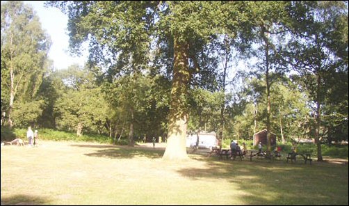 The Oaks Campsite